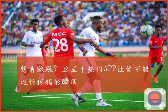 想看欧冠？这五个热门APP让你不错过任何精彩瞬间