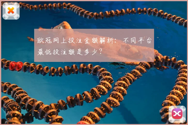 欧冠网上投注金额解析：不同平台最低投注额是多少？