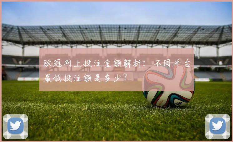 欧冠网上投注金额解析：不同平台最低投注额是多少？