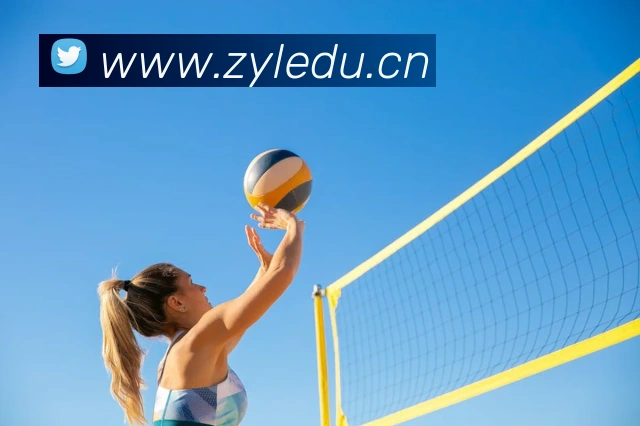 半岛官网网页版服务体系